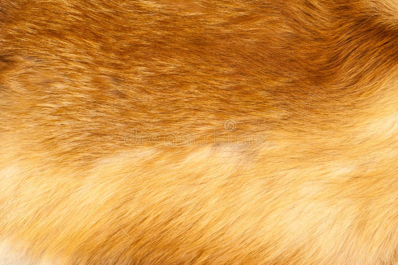 Red Fur Texture Picture, Free Photograph