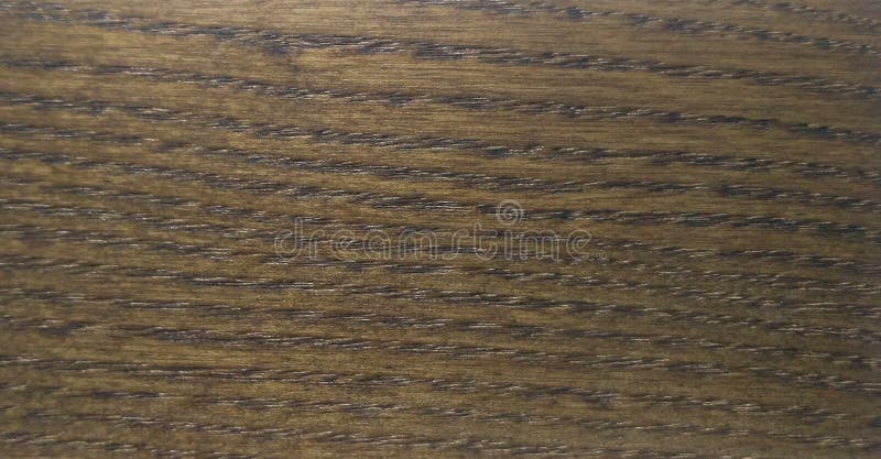 Color swatch of ash wood texture. Color swatch of ash wood texture