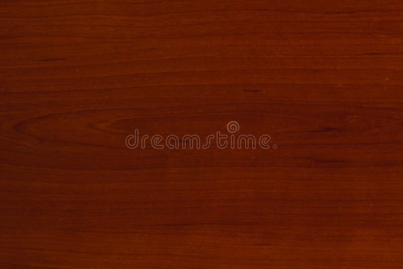 Textuur van schorshout