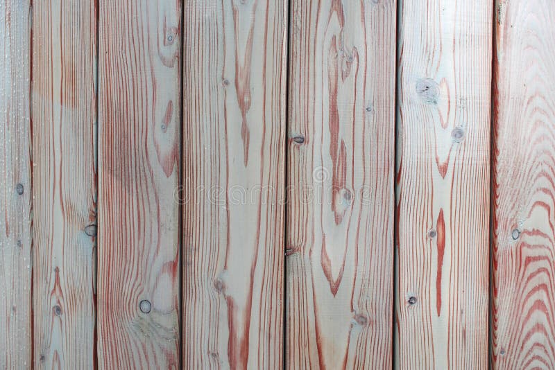 Textuurraad die van licht hout maakte royalty-vrije stock afbeeldingen Textuurraad die van licht hout maakte royalty-vrije stock afbeeldingen