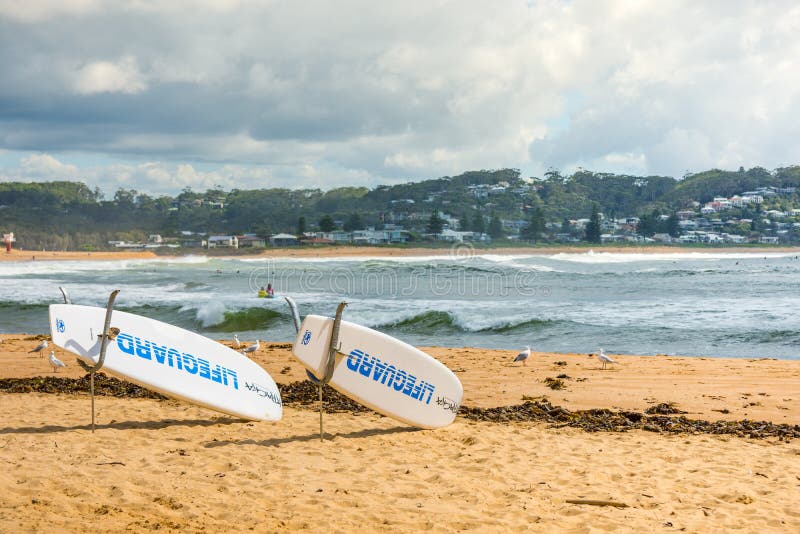 20th Feb 2020 - Avoca Beach NSW, Australia : Lifesavers rescue boards on the beach with northern end of the beach in the