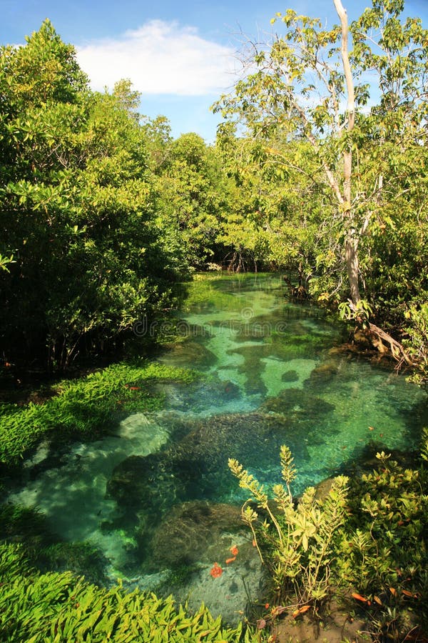 Tha Pom clear tropical stream