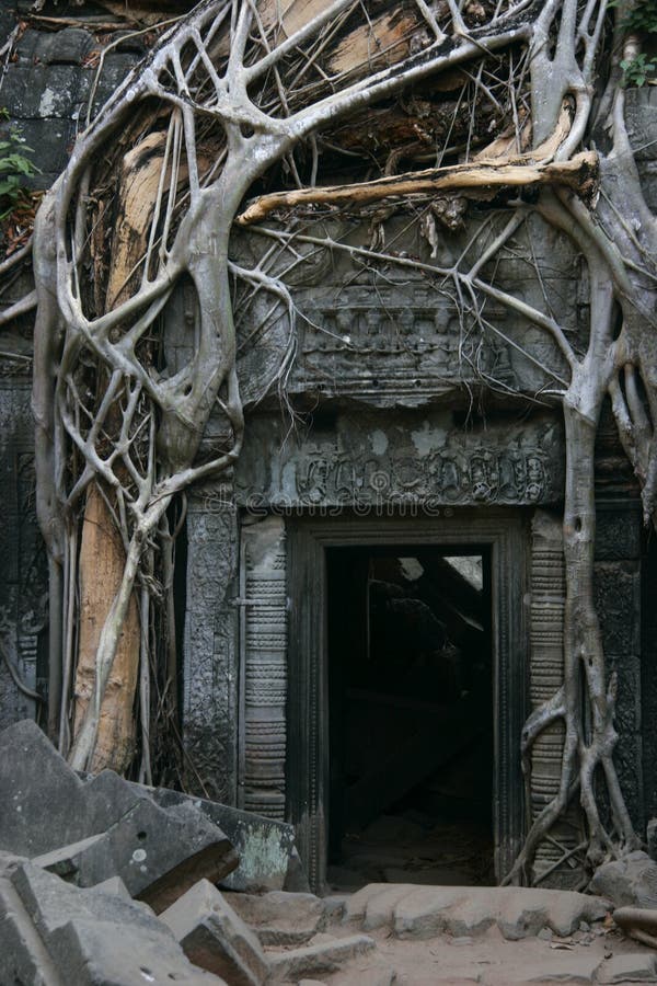 Tha Prohm, Angkor