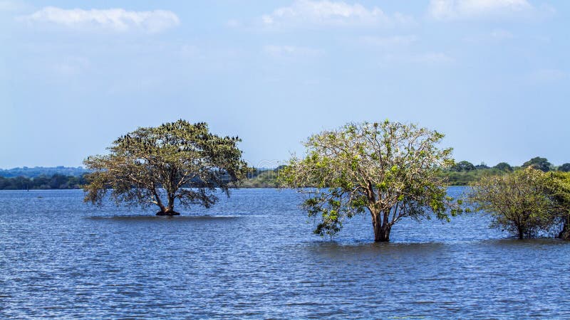 Thabbowa sanctuary in Puttalam, Sri Lanka