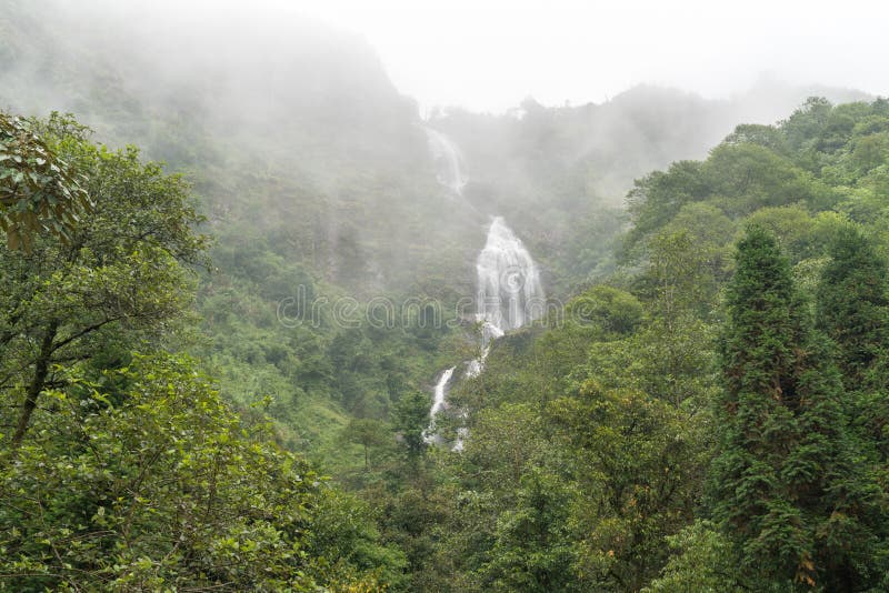 Thac Bac Waterfall Silver Falls on misty Dschungel in Sapa, Nordvietnam lizenzfreie stockfotos Thac Bac Waterfall Silver Falls on misty Dschungel in Sapa, Nordvietnam lizenzfreie stockfotos