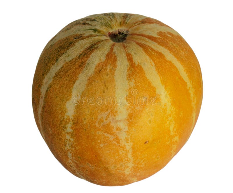 Thai Cantaloupe or Yellow Melon is a Native Fruit in Thailand. Planted