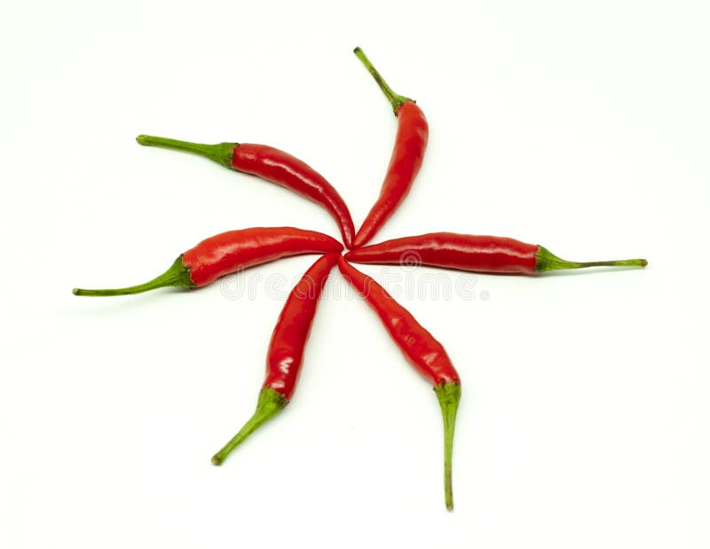 Thai chili stock image. Image of chili, cook, colorful 26193299