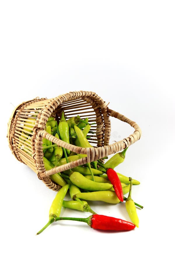 Thai chili stock photo. Image of bell, healthy, chili 26469328