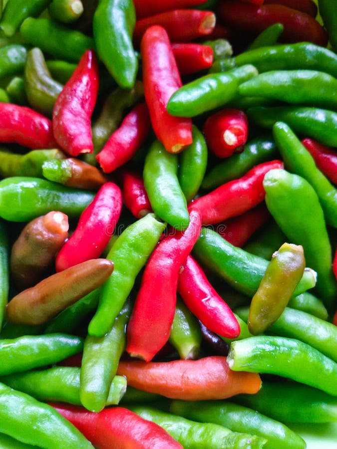 Chili of thai stock image. Image of thaifood, kitchen 45959331