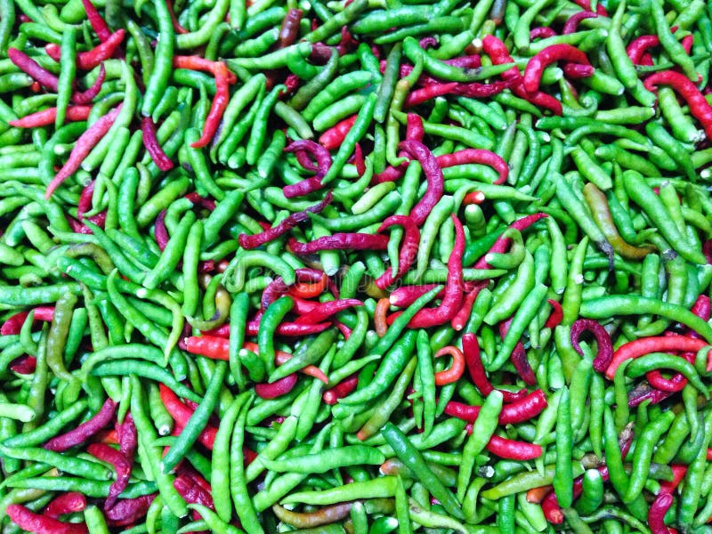 Thai chili stock photo. Image of spicy, green, thai, chili 43821848