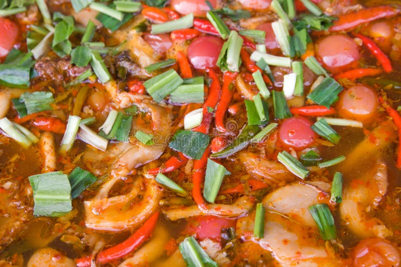 Thai chili soup stock photo. Image of chili, thai, sauce 11505394