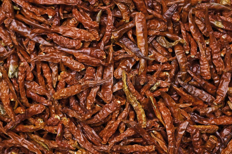 Thai Chilli stock photo. Image of harvest, culinary, closeup 21359720