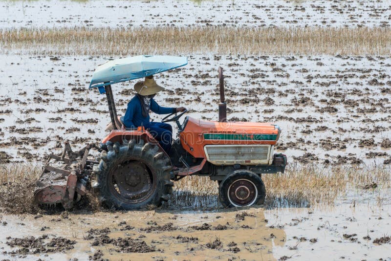 Thai farmer using walking tractors for cultivated soil for rice plantation in Thailand