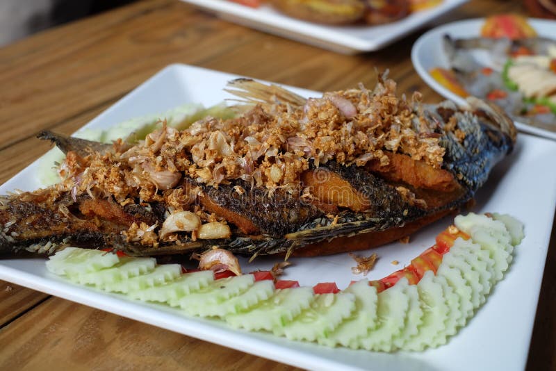Thai Fried Fish with Garlic Stock Photo Image of fired, kitchen 57234756