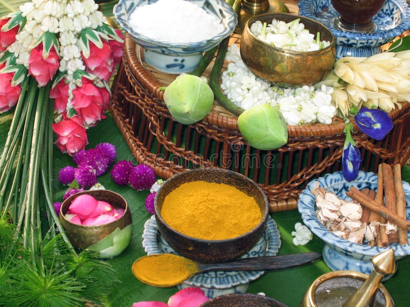 Thai Herbs stock image. Image of phai, turmeric, cinnamon 18559861