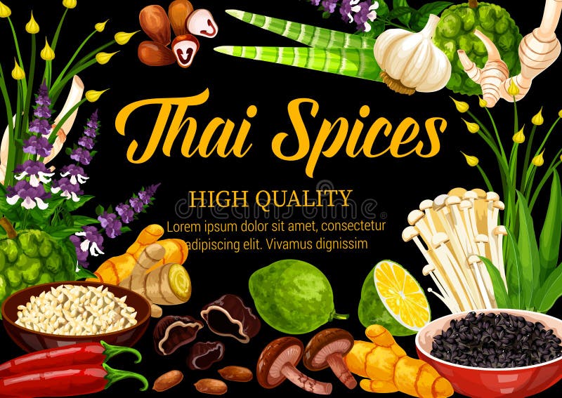 50 seeds Languas galanga Thai herbs Galangal spices 