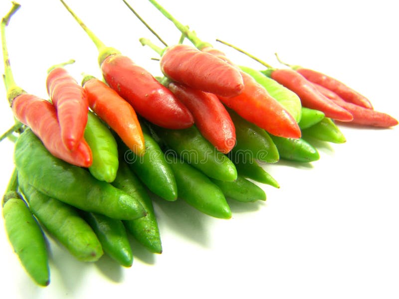 Thai hot chili stock image. Image of bird, hotness, spicier 5985971