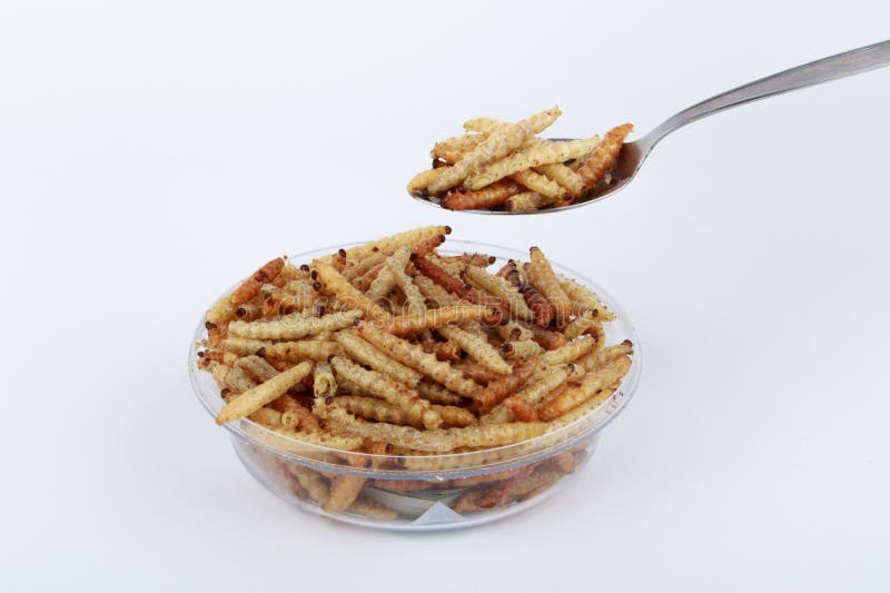 Thai Insects, Fried Insects Mealworms for Snack. Stock Photo Image of