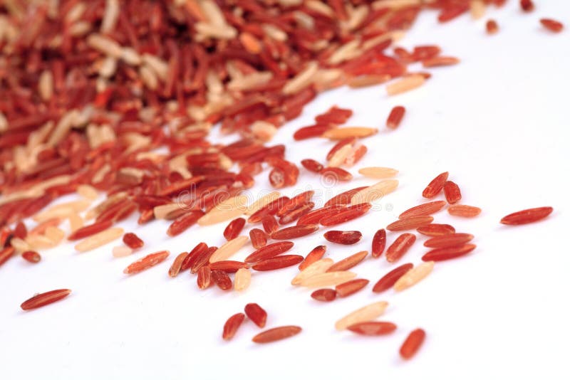 Thai jasmine garland stock photo. Image of floral, fresh 60676880