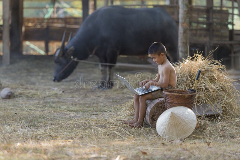 Thai local boy playing notebook on farm and buffalo background royalty free stock images Thai local boy playing notebook on farm and buffalo background royalty free stock images