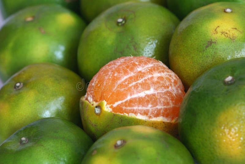 Thai Oranges stock photo. Image of oranges, tropical, fruits 8645188