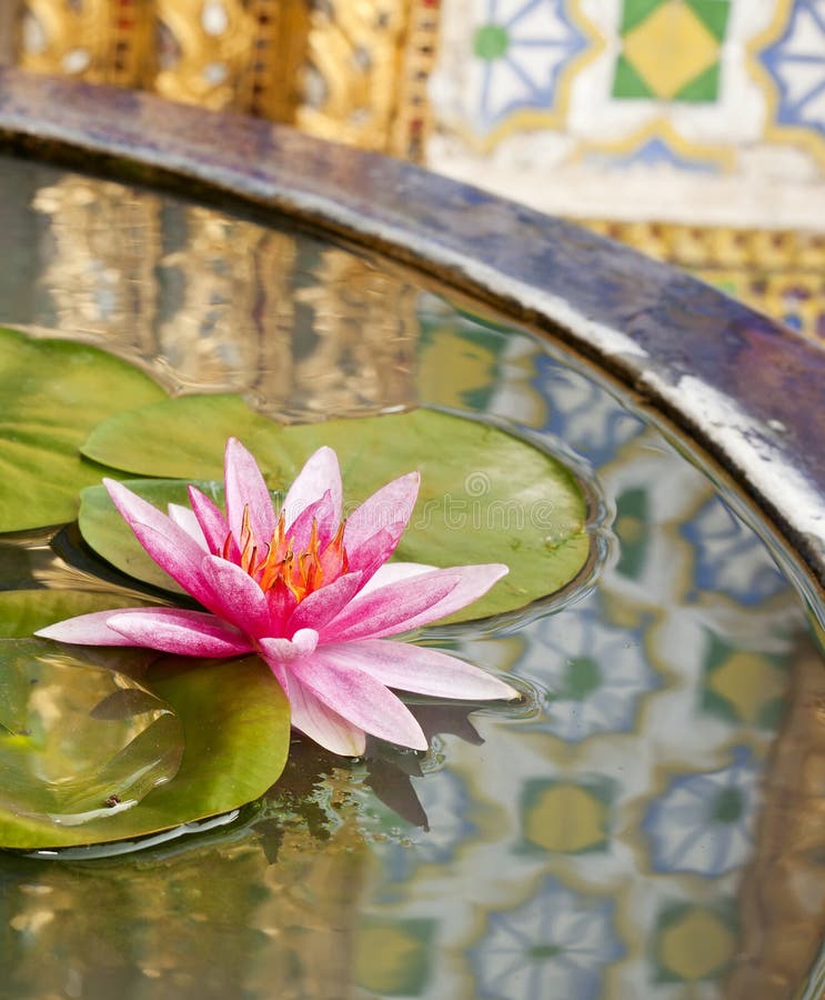 Thai pattern reflex on the lotus sink