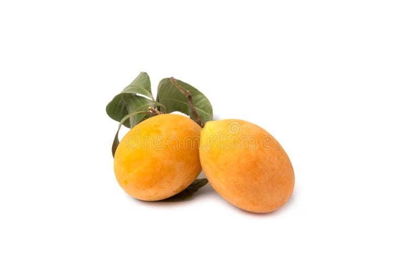 Thai plango fruit or marian plum on white background stock images