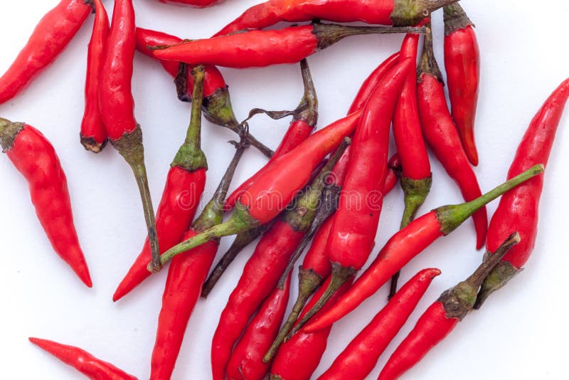 Thai Red Hot Chilli on the White Background, Red Hot Chilli Isol Stock