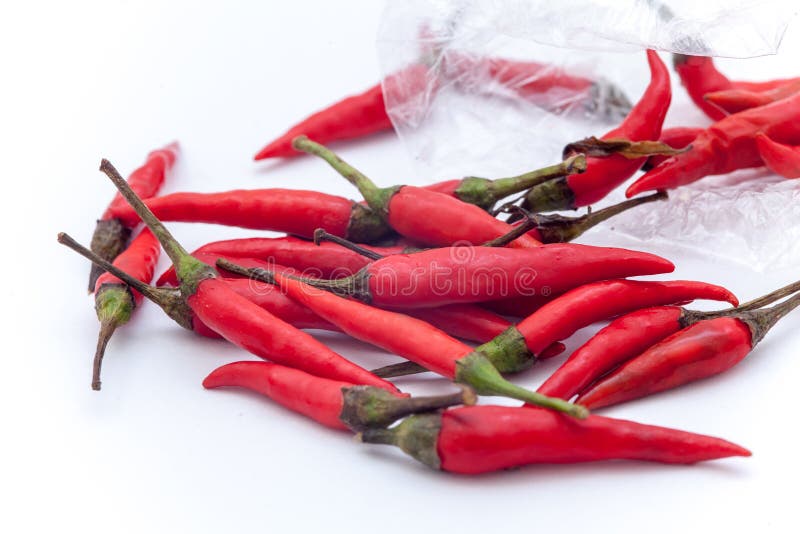 Thai Red Hot Chilli on the White Background, Red Hot Chilli Isol Stock