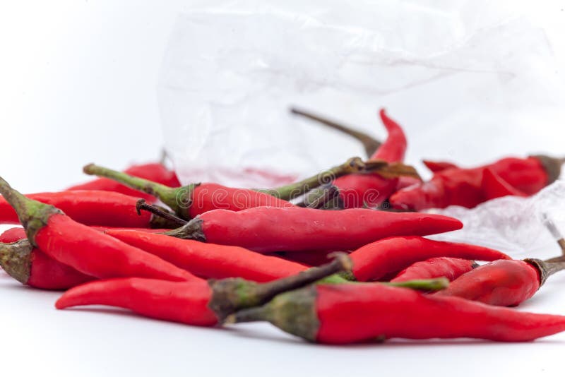 Thai Red Hot Chilli on the White Background, Red Hot Chilli Isol Stock