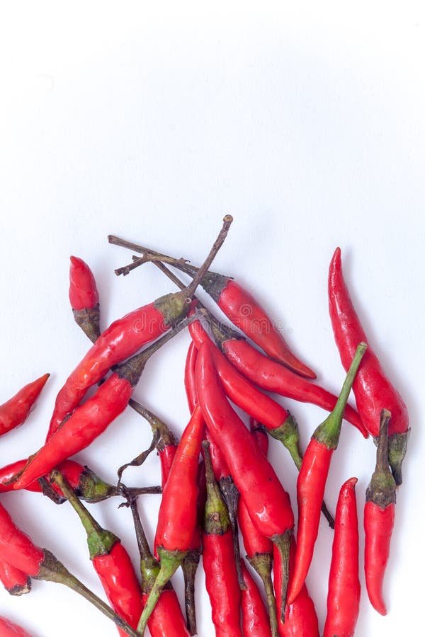 Thai Red Hot Chilli on the White Background, Red Hot Chilli Isolation