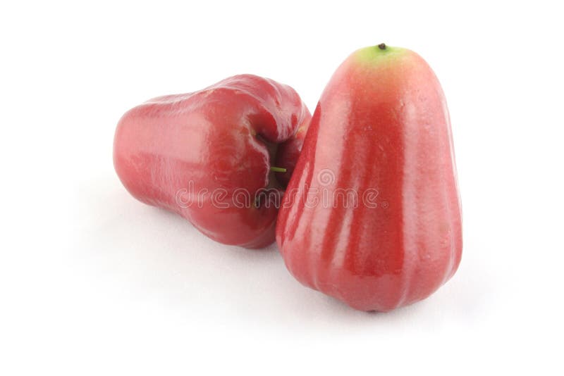 Thai rose apple stock photo. Image of nobody, isolated 19453666