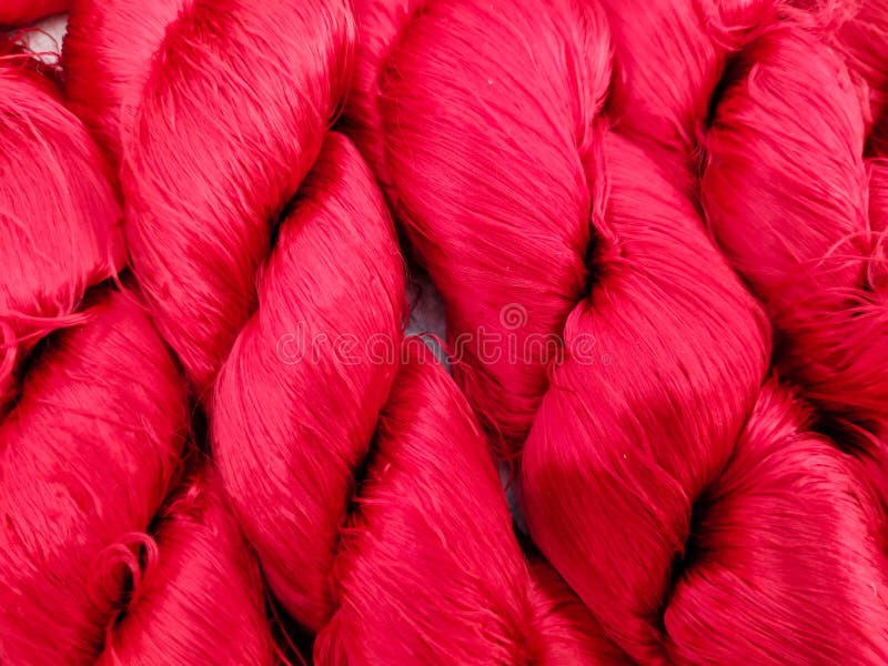 Thai Silk and Cocoon Using in India for Making Expensive Sari or Saree