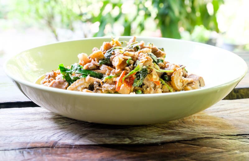 Thai spicy duck with basil stock photo. Image of plate 49460030