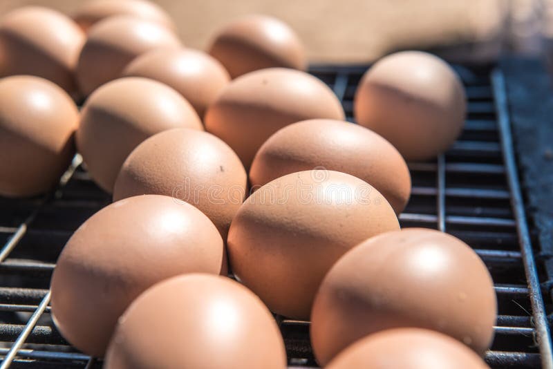 Thai style grilled eggs stock image. Image of grill 252286769