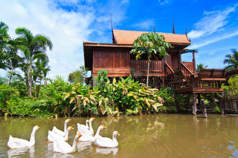 Thai style house and swan