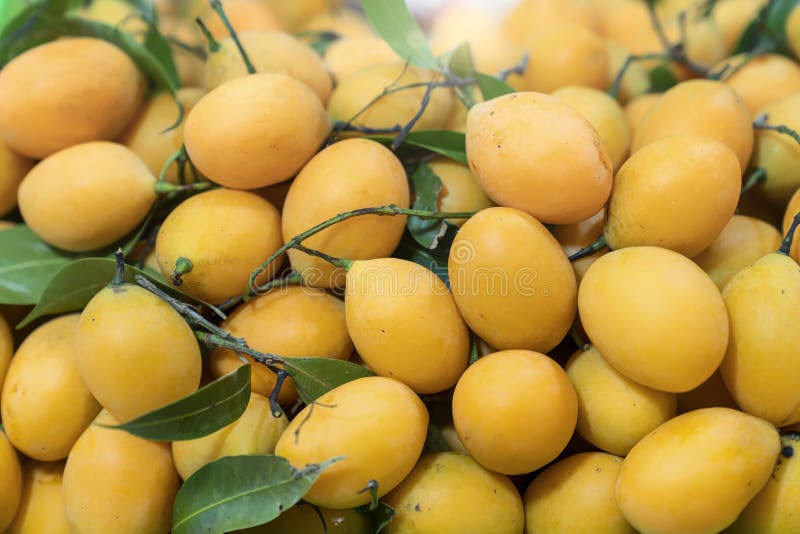 Thai summer fruit Background. Mangosteen, Mayongchid, Marian Plum stock photography