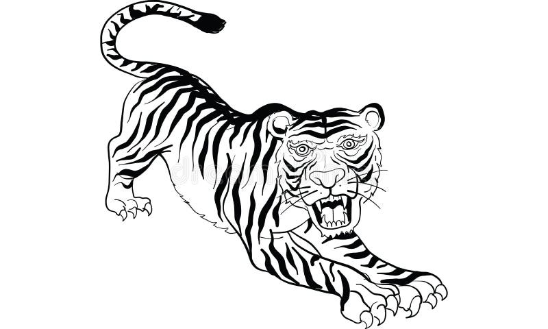 Thai Traditional Tattoo, Tiger Tattoo Stock Vector - Illustration of ...