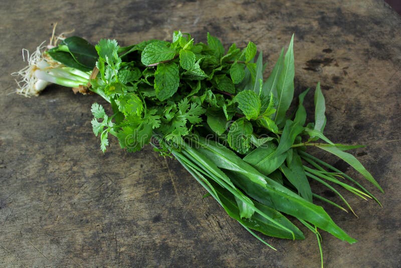 Thai vegetable, mint, spring onion, kaffir leaf and Vietnamese coriander. Mint vietnamese stock images, royalty-free photos and pictures