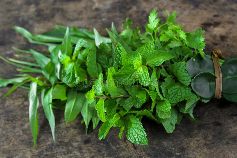 Thai vegetable, mint, spring onion, kaffir leaf and Vietnamese coriander. Mint vietnamese stock images, royalty-free photos and pictures
