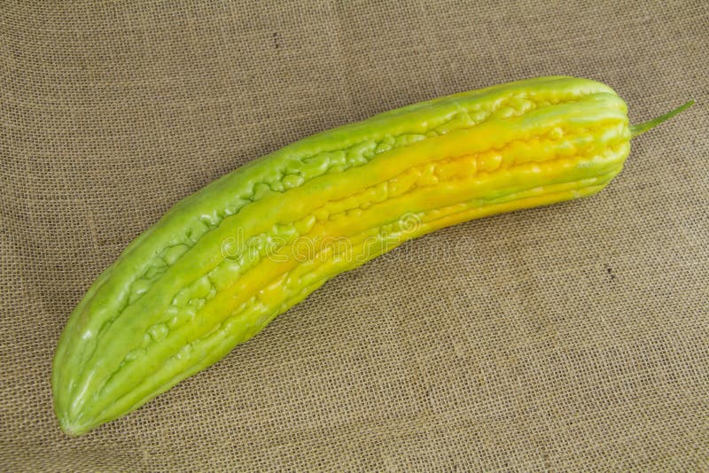 Thai yellow Bitter Gourd stock photo. Image of green 57912438