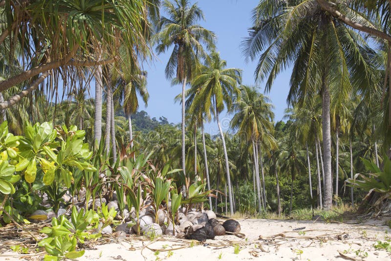 Thailand: Paradise Beach