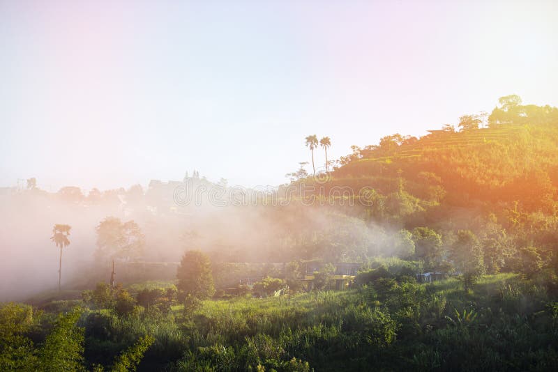 Thailand, villaggio di Sunrise con montagne di paesaggi nebbiosi, foresta nebulosa con alberi e case nella natura invernale dell' fotografia stock libera da diritti Thailand, villaggio di Sunrise con montagne di paesaggi nebbiosi, foresta nebulosa con alberi e case nella natura invernale dell' fotografia stock libera da diritti