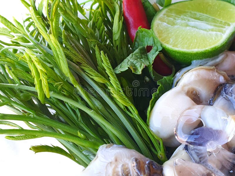 Thailändsk matstil, nya ostron med grönsaker akacian, citron skivade, chili, den stekte löken, vitlök och kryddig sås på vit arkivfoto Thailändsk matstil, nya ostron med grönsaker akacian, citron skivade, chili, den stekte löken, vitlök och kryddig sås på vit arkivfoto