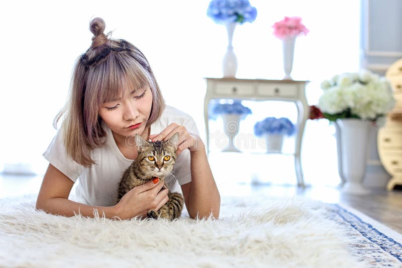 Thaise kat in de greep van de vrouw die op het woltapijt liggen r Mooi stock afbeeldingen Thaise kat in de greep van de vrouw die op het woltapijt liggen r Mooi stock afbeeldingen