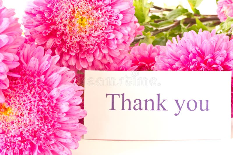 Thank you stock photos