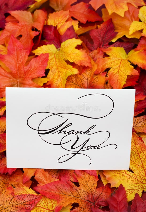 1,185 Thank You Card Leaves Stock