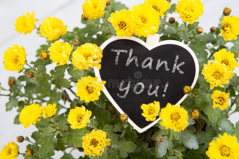 Thank You Messages For Receiving Flowers