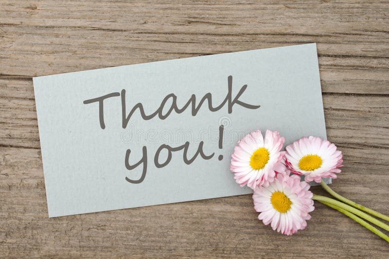 Thank you royalty free stock photography