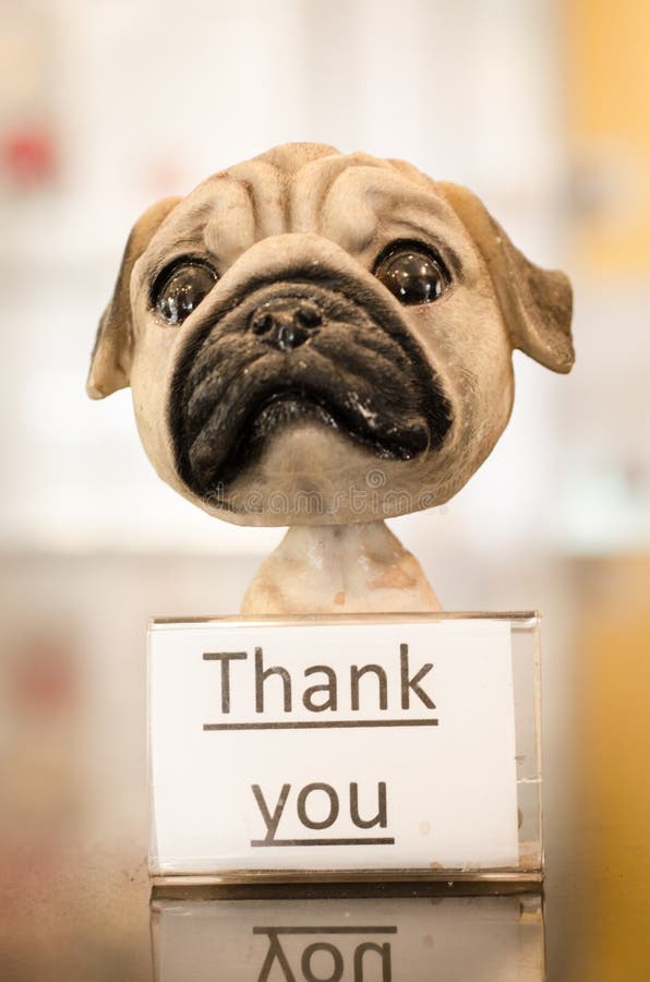 335 Animal Thank You Stock Photos - Free & Royalty-Free Stock Photos from Dreamstime 335 Animal Thank You Stock Photos - Free & Royalty-Free Stock Photos from Dreamstime